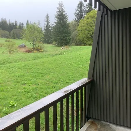 アパート F2 Bis 5 Pers. Au Avec Parking, Proche Des Pistes - Fr-1-415-174 Mont-Dore